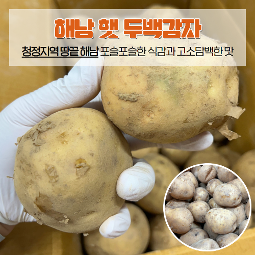 [매주 금요일 일괄 발송] 해남 두백 감자 1박스 10kg