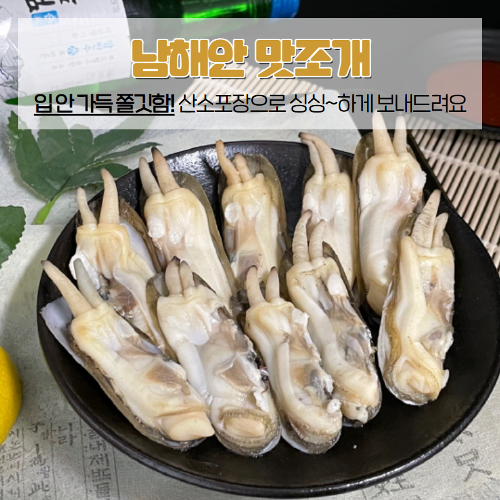 국내산 남해안 맛조개